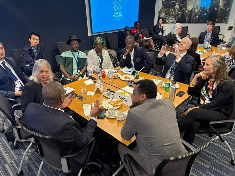 Round Table www.dothedreamydi.org WB IMF Financing