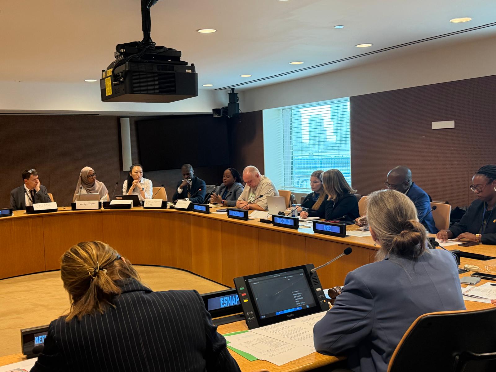 Adebusuyi Olutayo Olumadewa at World Bank ESMAP energy session HLPF 2026 www.dothedreamydi (2)