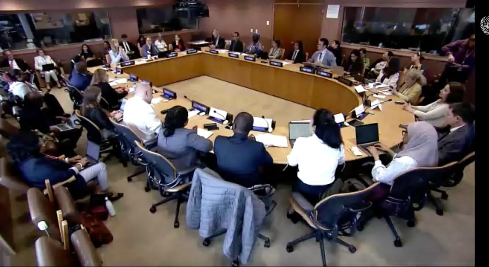 Adebusuyi Olutayo Olumadewa at World Bank ESMAP energy session HLPF 2026 www.dothedreamydi.org (2)