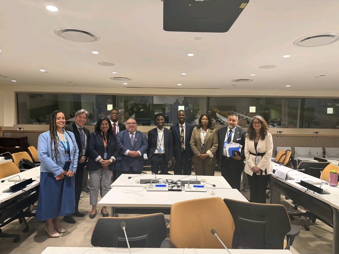 L_R Rebecca Irbu, Dr Peter Preziosi, Anita Thomas, Deny Dobobrov, Ola Olu Yinka, Adebusuyi Olutayo Olumadewa, Dr Andrise Bass, Janos Stzocka, Samantha Constant